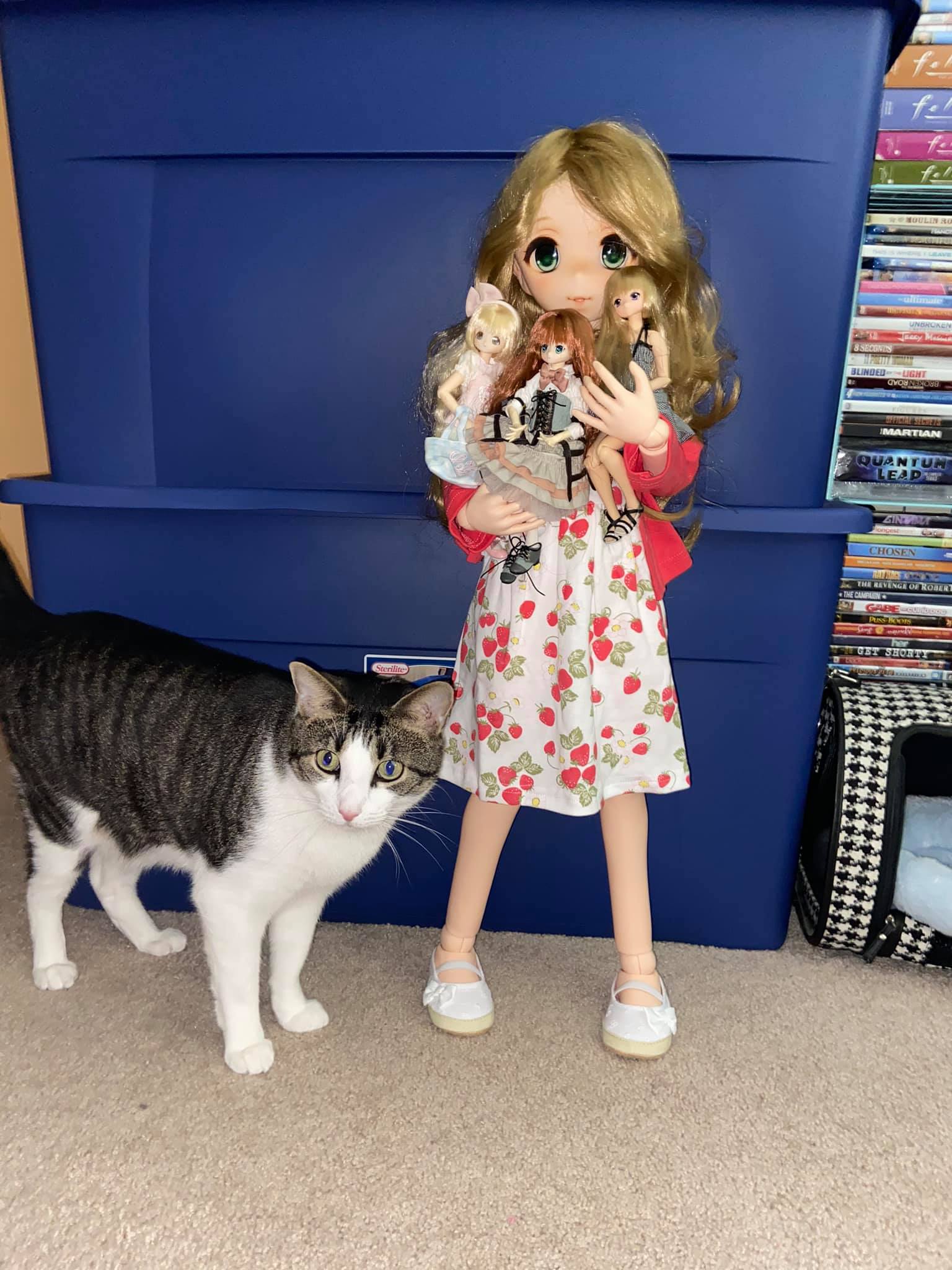 Parabox Otohime 80cm Vinyl ABJD Anime Doll Unboxing Review – Geeky