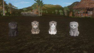 Kitten's Super Adventure, Spyro The Dragon, Cat Game, Kittens, Cats, Play as a Cat, Indiegogo, Kickstarter, Crowd Funding, Kitties with Jetpacks, Multiplayer, Customize Your Kitties, Cute, Kawaii, Adorable, Cute Game, Game with Cats