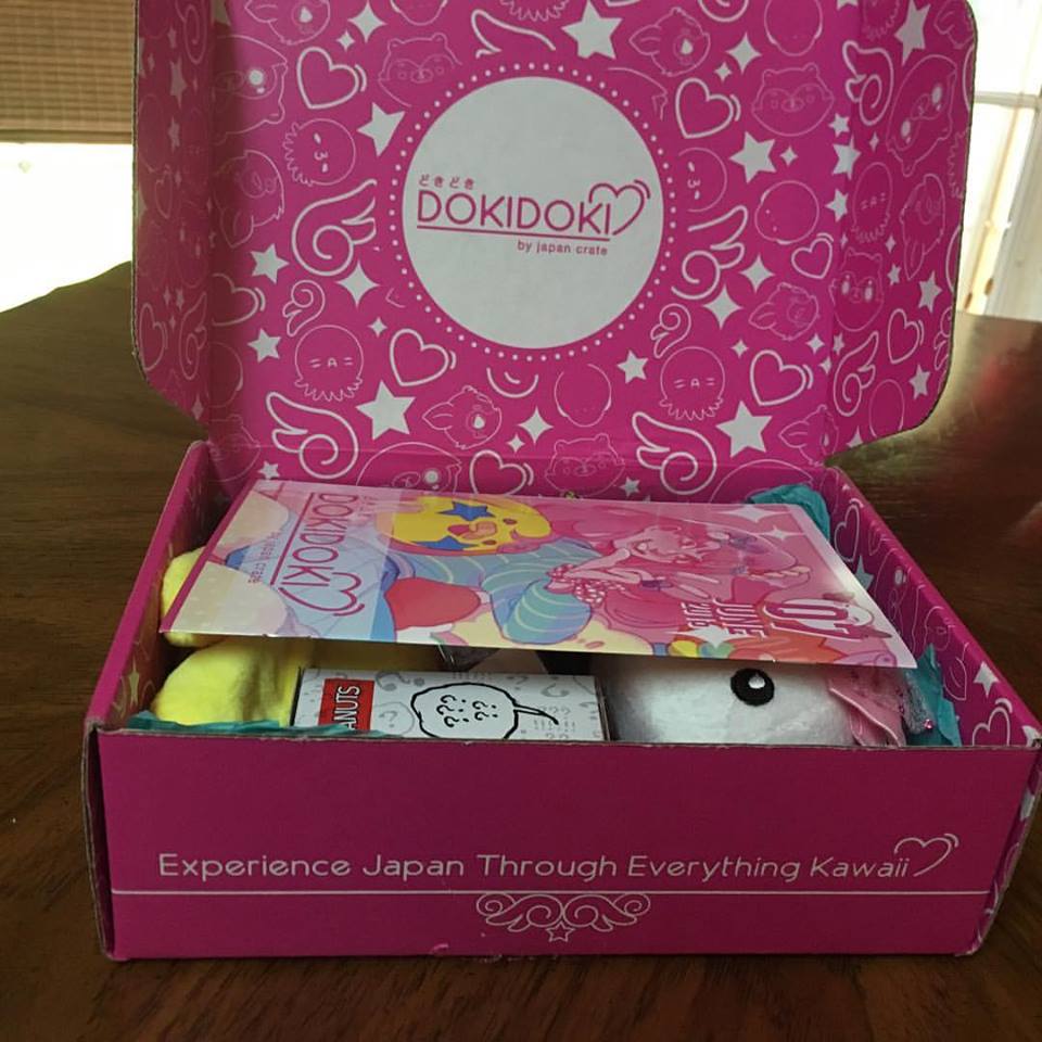 Doki Doki June Box Opening Subscription Crate Review
