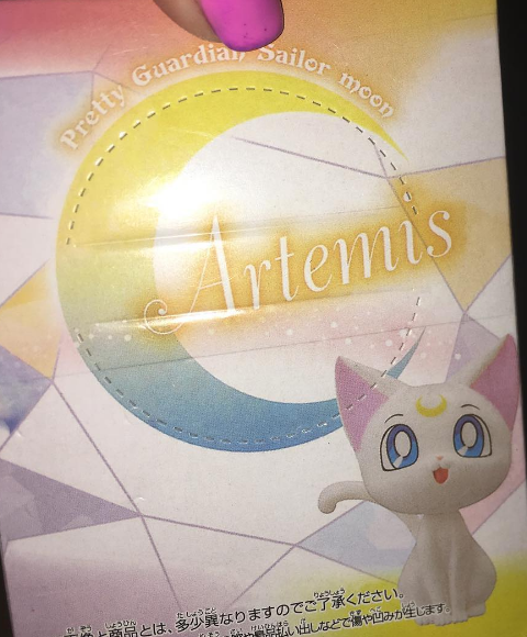 Boxychan Anime Subscription Box - June Boxychan Unboxing Photos - Sailor Moon Blind Box Figure - Sailor Moon Figurine - Sailor Moon Blind Box - Artemis - Artemis Blind Box Figure