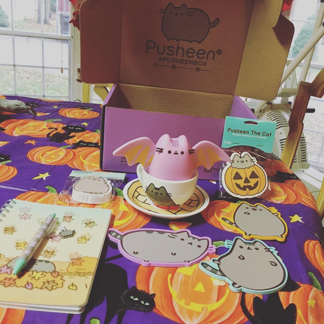 Pusheen Fall 2016 Box Opening Pics and Review