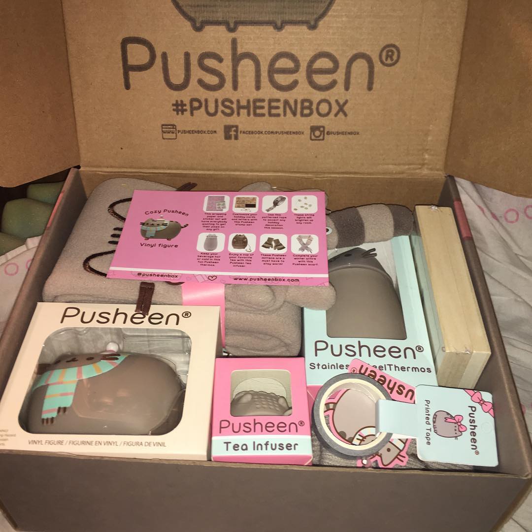 Winter 2016 Pusheen Box Opening