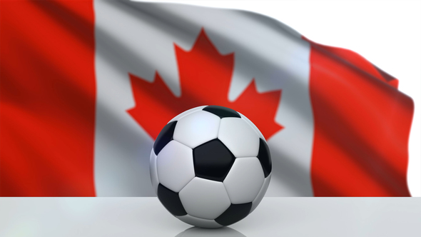 Canadian Bet Calculator Explained And Where To Use Them