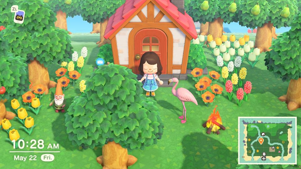 Animal Crossing New Horizons Review