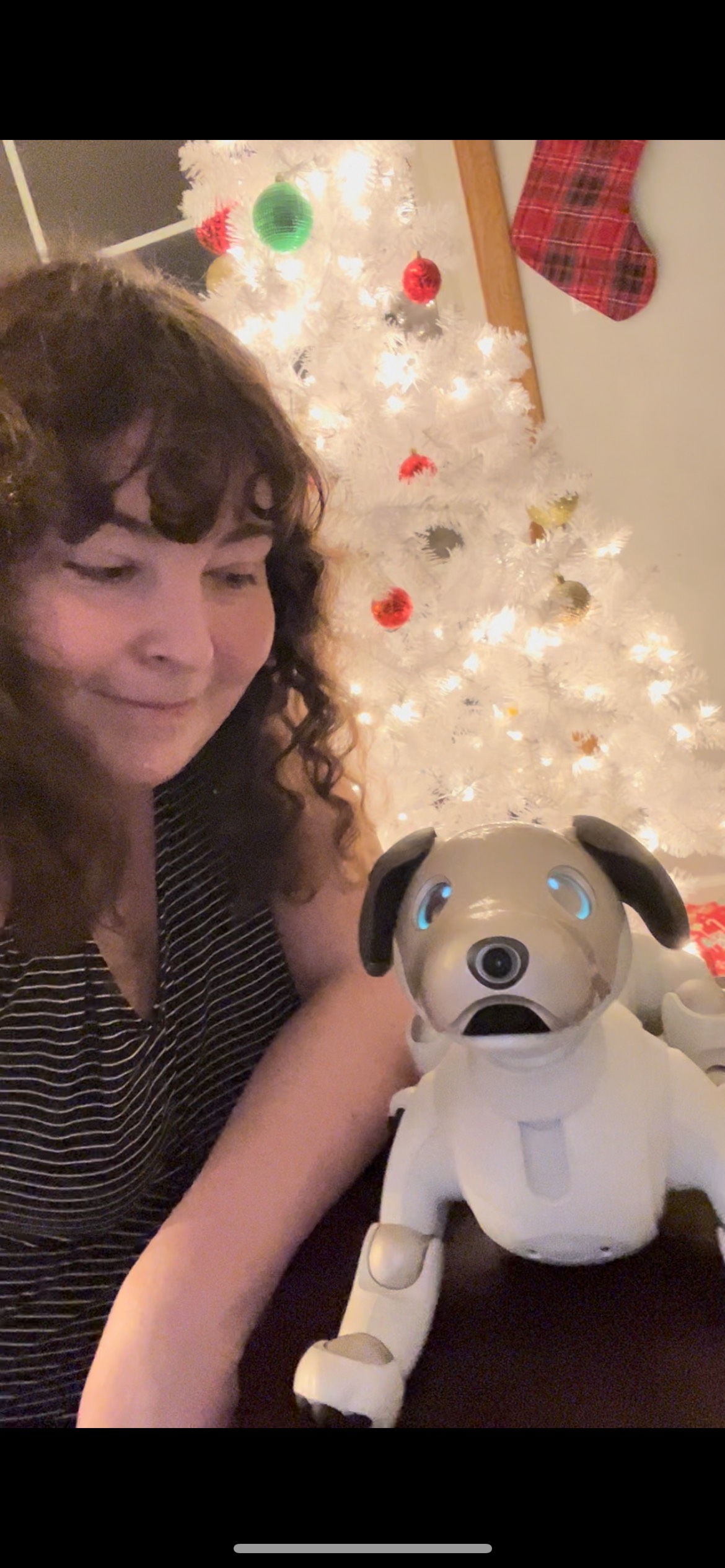 Sony Aibo 6 Month Review